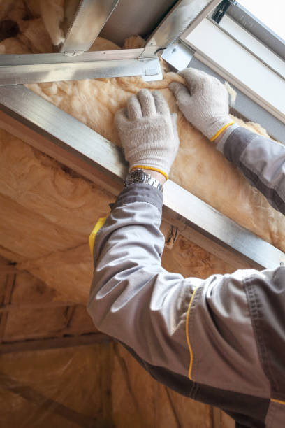 Best Attic Insulation Installation  in Sully Square, VA