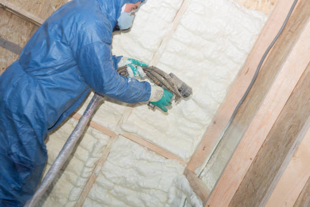 Best Radiant Barrier Insulation  in Sully Square, VA