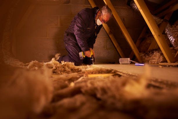 Best Basement Insulation  in Sully Square, VA